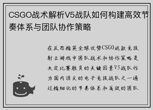 CSGO战术解析V5战队如何构建高效节奏体系与团队协作策略